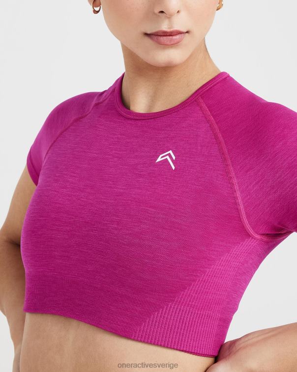 Kläder fuchsia märgel 4B046440 klassisk sömlös 2.0 kortärmad crop top Oner Active