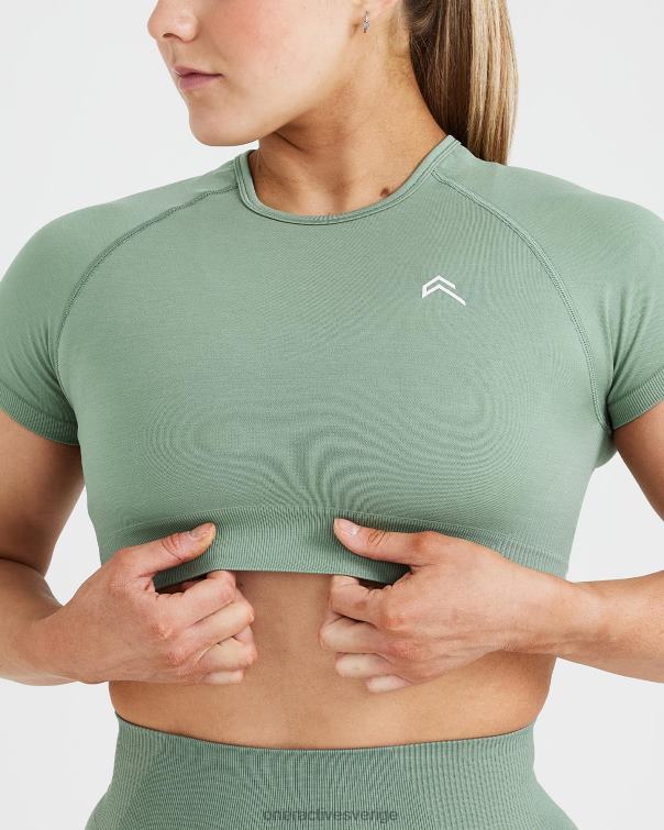 Kläder salvia märgel 4B046454 klassisk sömlös 2.0 kortärmad crop top Oner Active