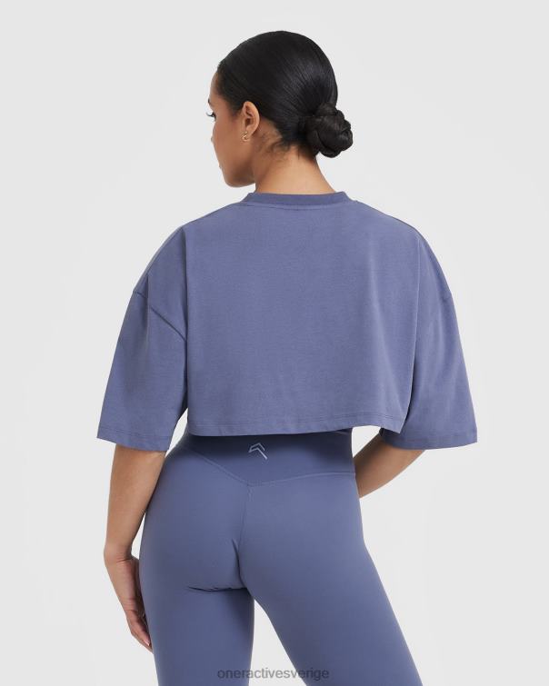 Kläder tvättad skifferblå 4B046466 klassisk avslappnad lättvikts t-shirt Oner Active