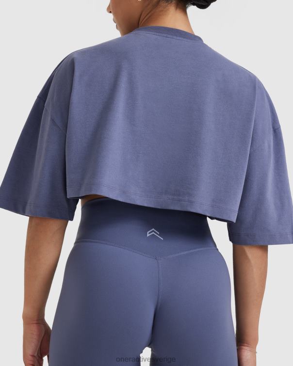 Kläder tvättad skifferblå 4B046466 klassisk avslappnad lättvikts t-shirt Oner Active